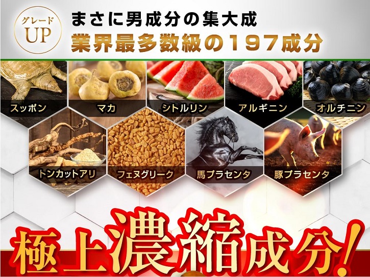 ゼファルリンxについて