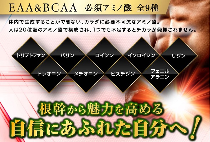 ゼファルリンxについて